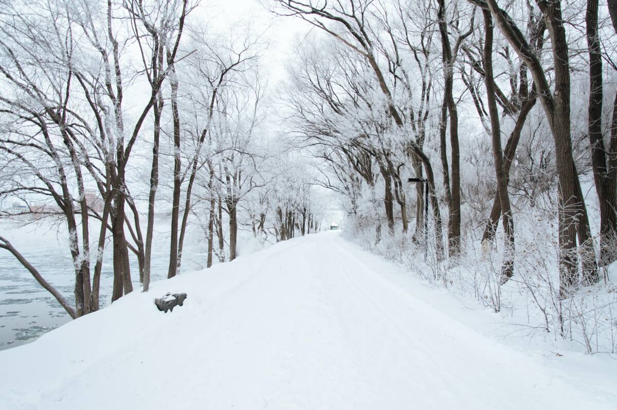 Schnee Winter