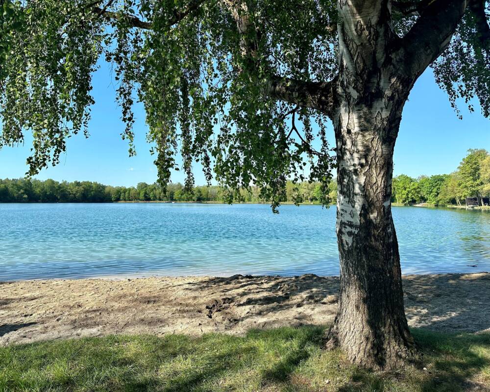 Sanstrand See mit Baum