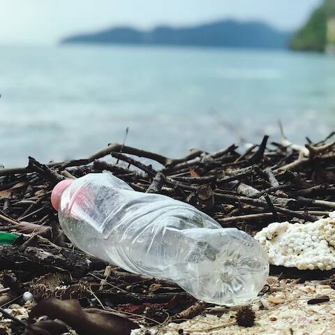 Verunreinigung - Plastikflasche am Ufer